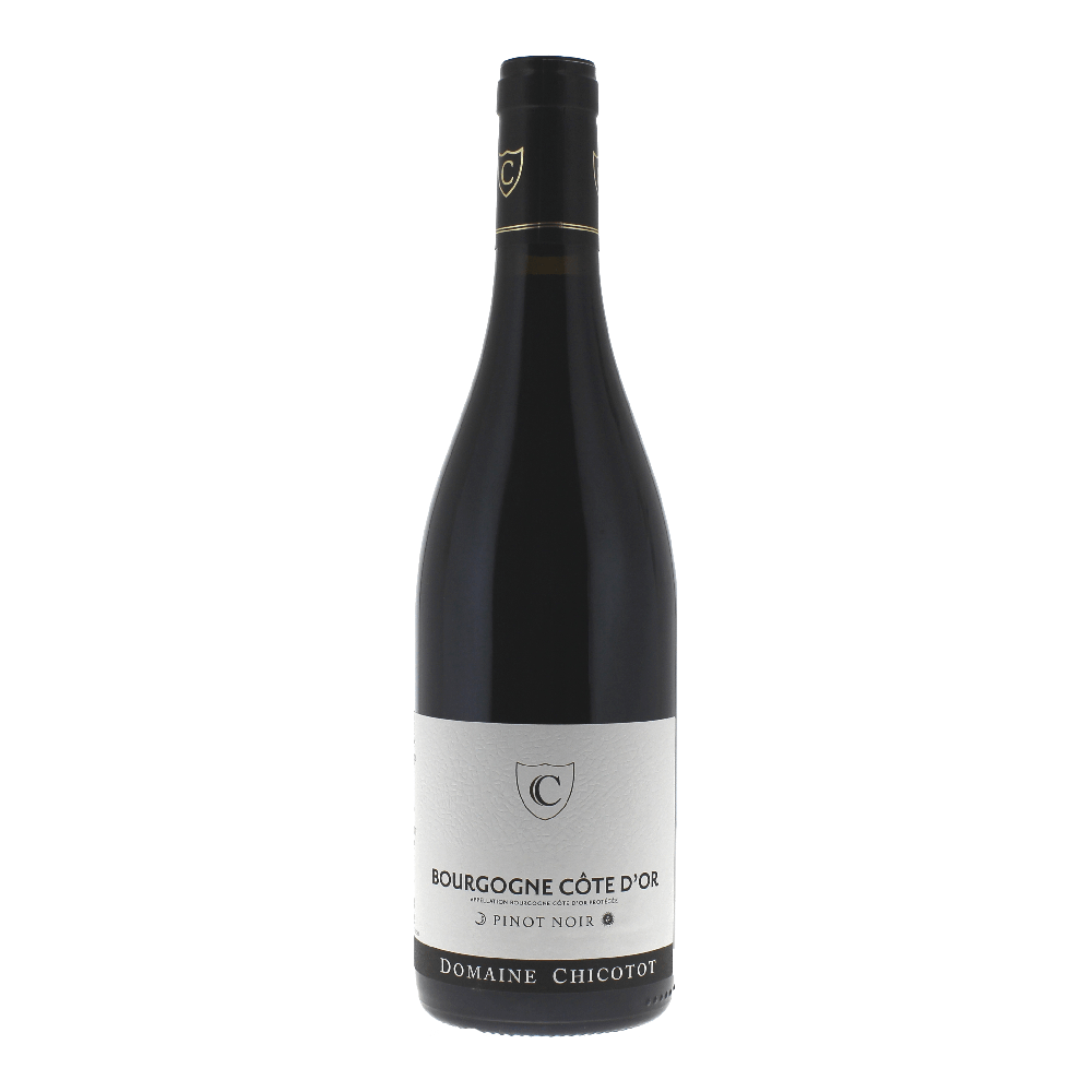 2021 Domaine Chicotot Bourgogne Cote D'or Pinot Noir