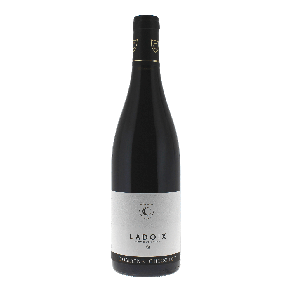 2021 Domaine Chicotot Ladoix