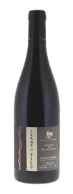 2023 Domaine des Roches Neuves Franc de Pied