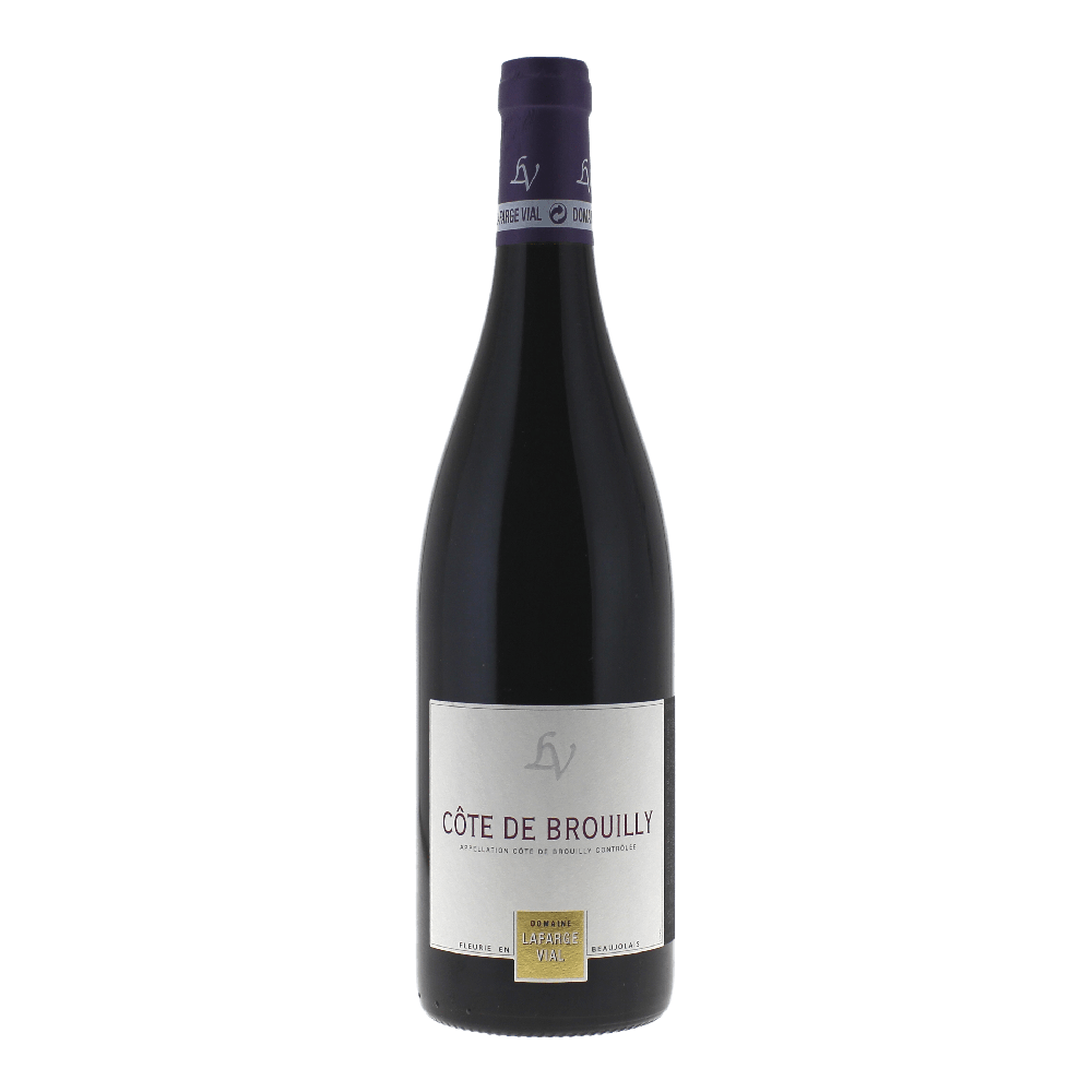 2021 Domaine Lafarge Vial Côte de Brouilly