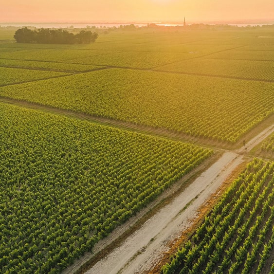 2020 Château Talbot