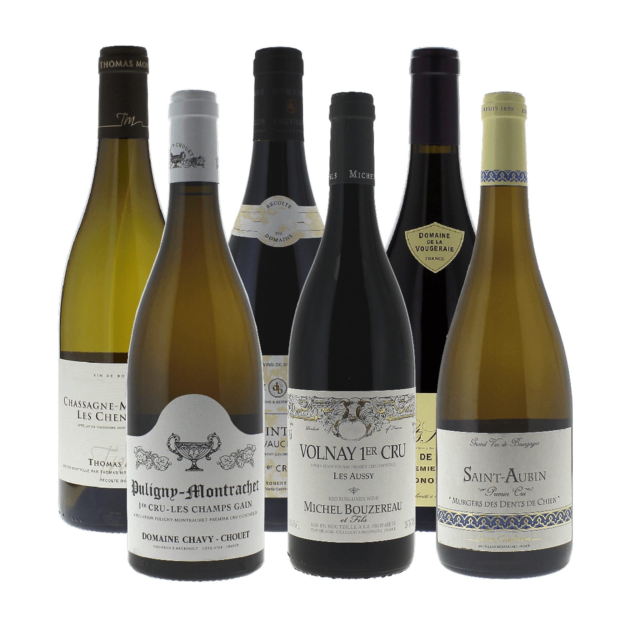 Talks of Terroir - Premier Cru Burgundy