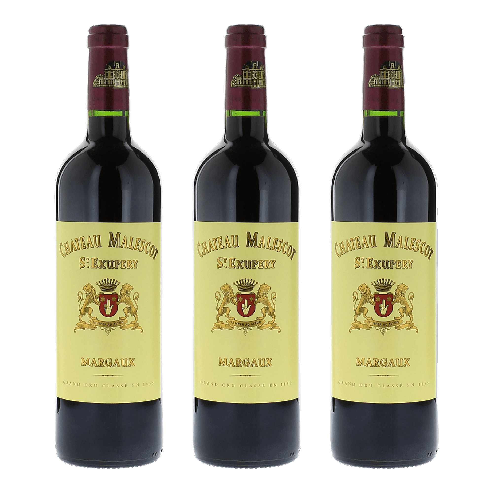 Château Malescot Saint Exupery Vertical (2018-2020)