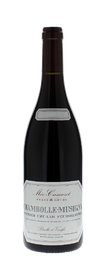 2020 Domaine Méo-Camuzet Chambolle-Musigny 1er Cru Les Feusselottes