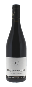 2021 Domaine Chicotot Bourgogne Cote D'or Pinot Noir